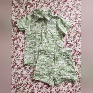Kate Quinn Fern Set Size 6